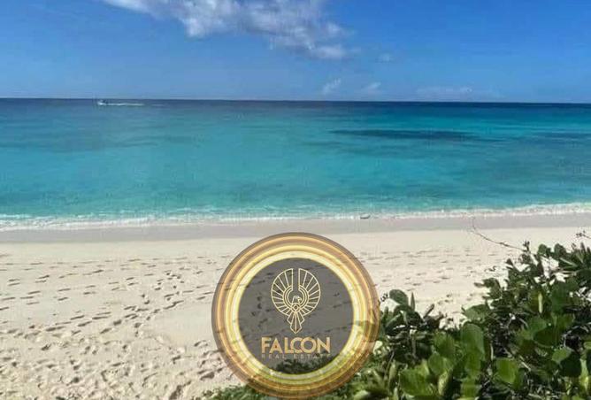 66175616 - صورة العقار 3