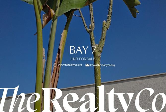 56240383 - Property Image 3