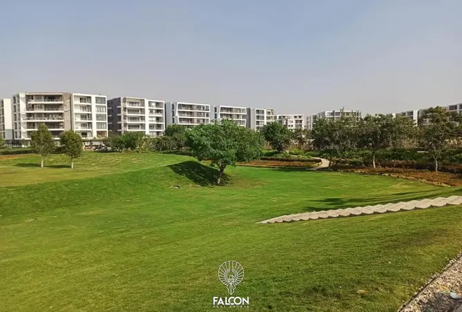 71650935 - Property Image 2