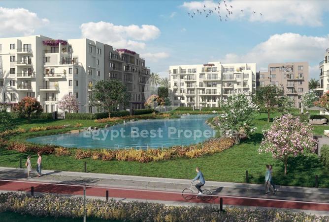 8560133 - Property Image 3