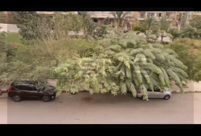 68535309 - صورة العقار 2