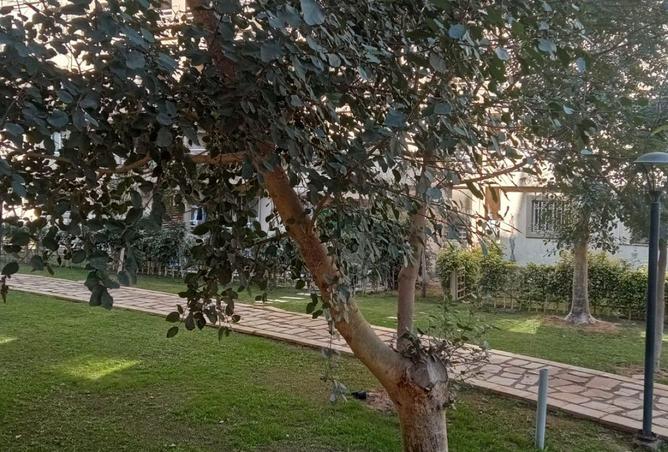 63884626 - صورة العقار 3