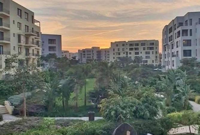 93538844 - صورة العقار 3
