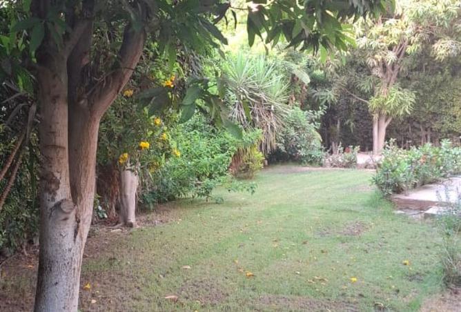 107699401 - الصورة الرئيسية للعقار