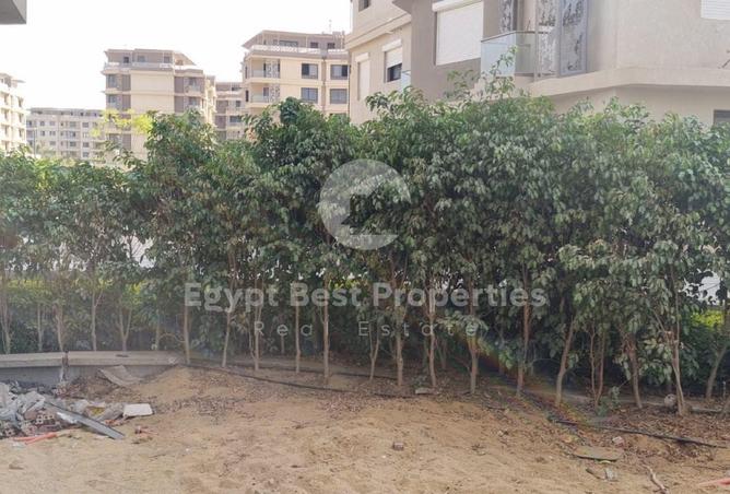 53729872 - Property Image 2