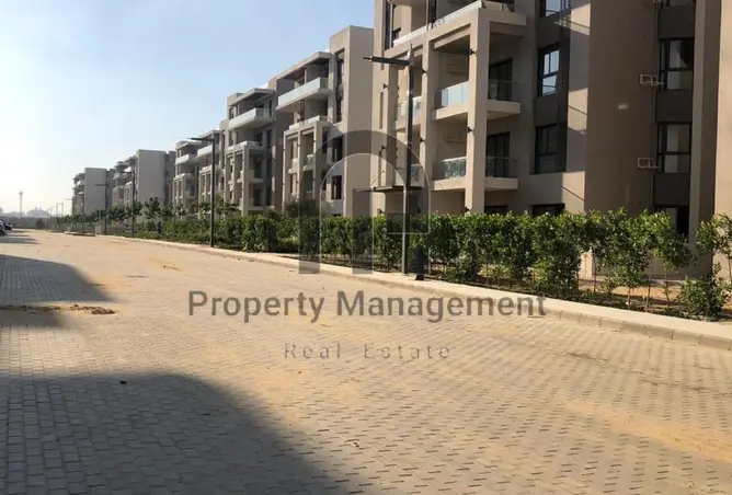 112709781 - Property Image 2