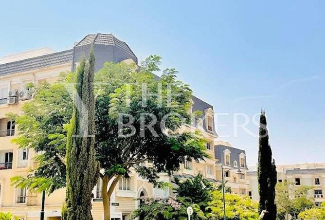 53728764 - Property Image 3