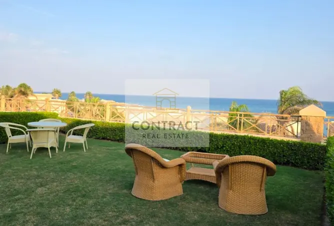 119331880 - Property Image 3
