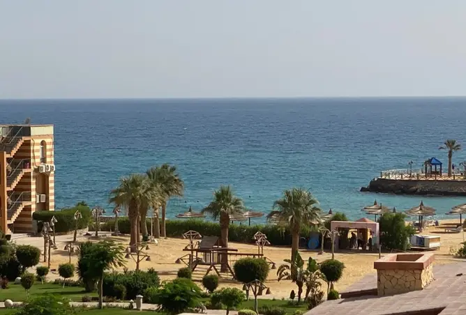 113260450 - صورة العقار 3