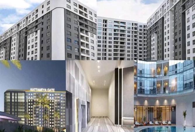 65163245 - Property Image 2