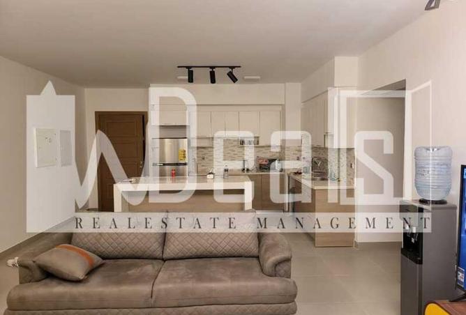 74306228 - Property Image 3