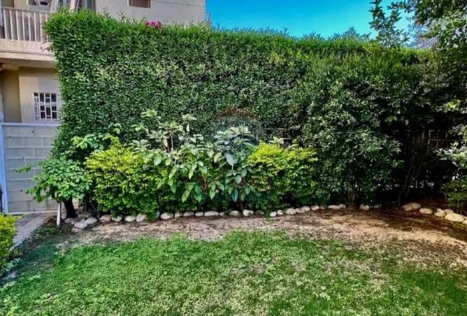 59502867 - صورة العقار 3