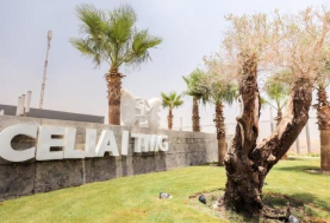 64909379 - صورة العقار 3