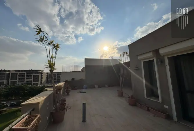 116494752 - Property Image 2