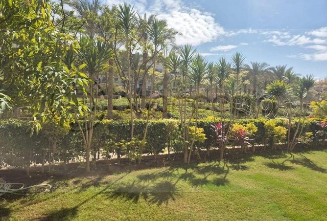 64129682 - Property Image 3