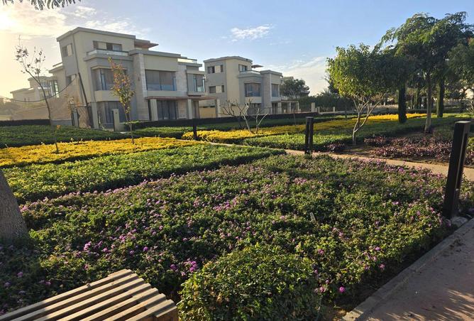 66173684 - صورة العقار 3