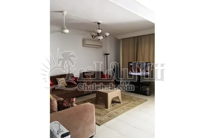 113259370 - Property Image 3