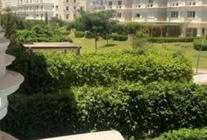 74046164 - صورة العقار 2