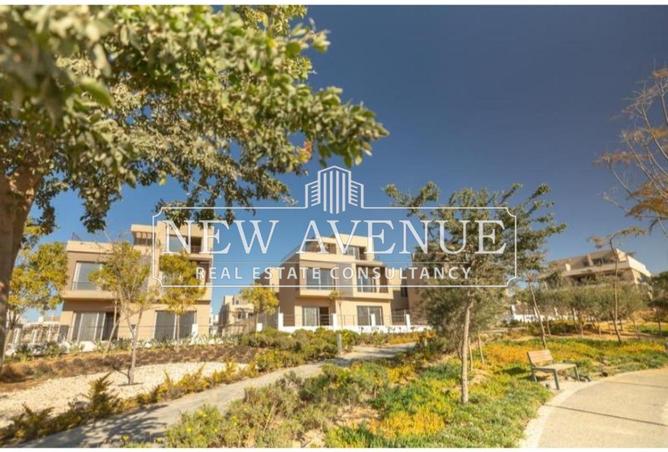 8664228 - Property Image 3