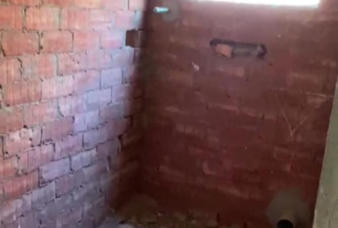 65410206 - Property Image 2