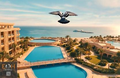 شقة - 2 غرف نوم - 1 حمام للبيع في منطقة الاحياء - الغردقة - محافظة البحر الاحمر شقة - 2 غرف نوم - 1 حمام للبيع في منطقة الاحياء - الغردقة - محافظة البحر الاحمر