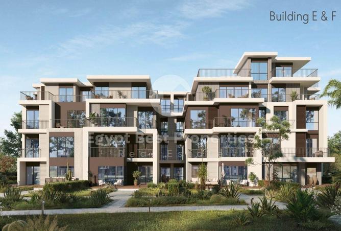 66437752 - Property Image 3