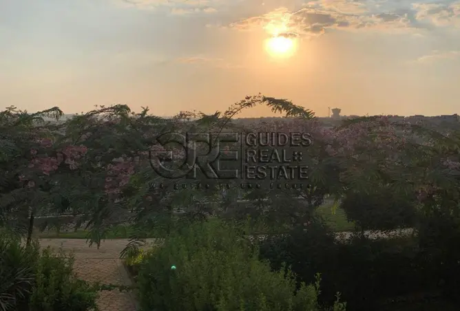 115439116 - صورة العقار 3