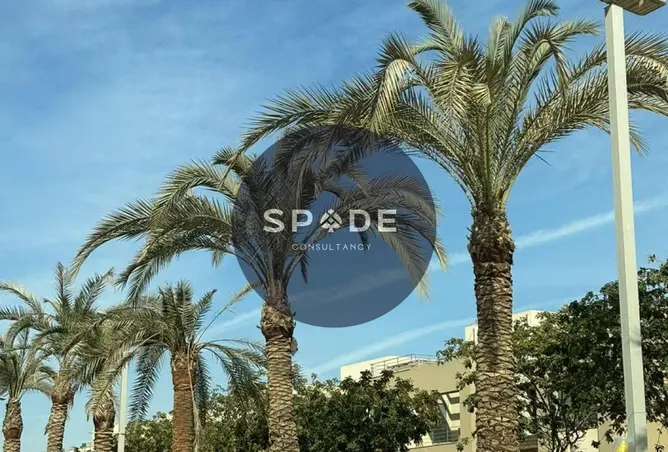 118804670 - صورة العقار 2