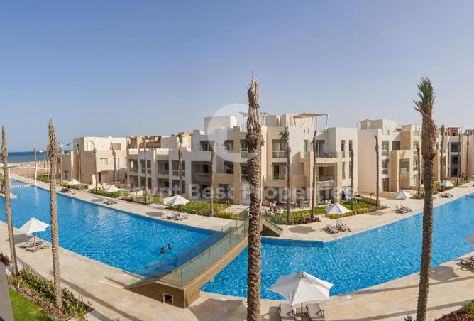 8599514 - Property Image 3