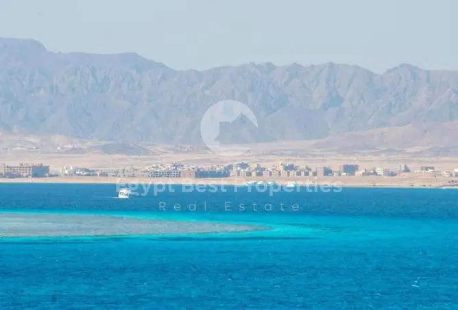 109926810 - صورة العقار 3