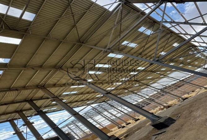 8700471 - Property Image 3