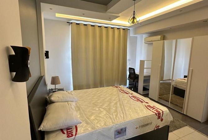 8647271 - Property Image 3