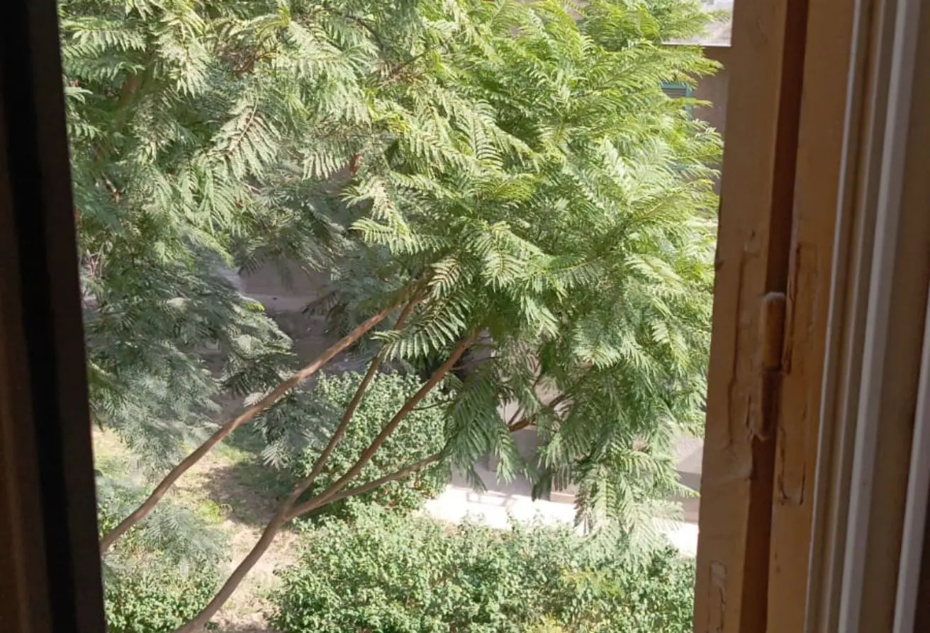 120362582 - الصورة الرئيسية للعقار