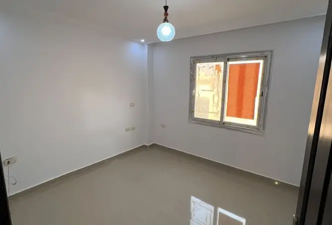117784374 - Property Image 3