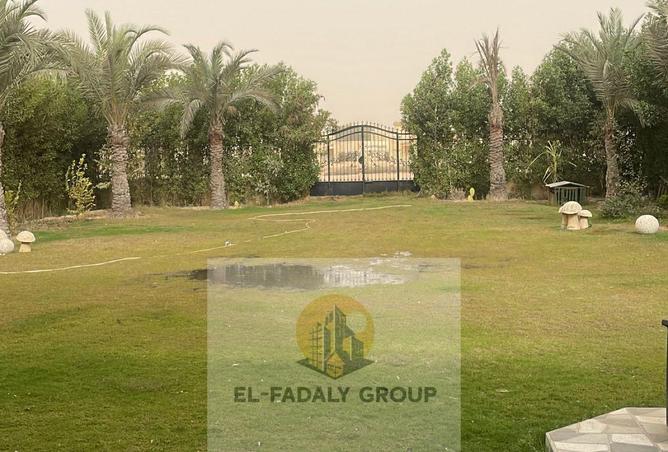 8706014 - Property Image 3