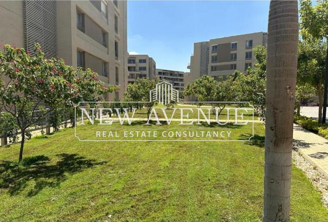 66950340 - صورة العقار 3