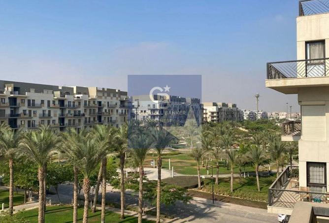 55761828 - صورة العقار 3