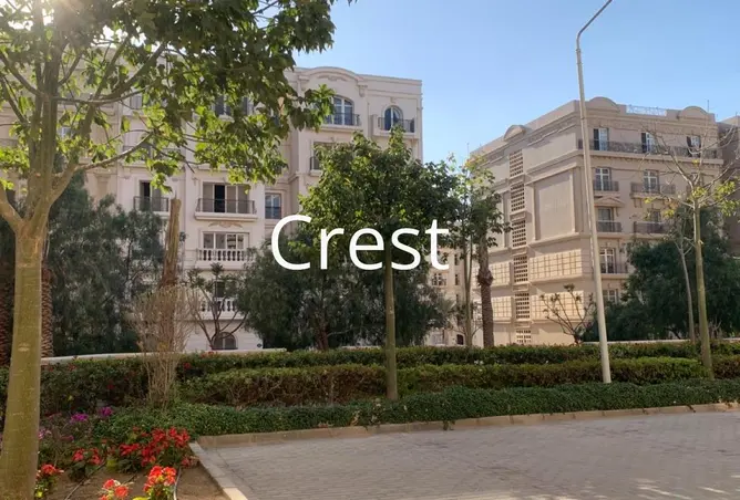 98554037 - Property Image 3