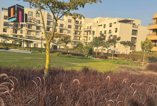 8595345 - الصورة الرئيسية للعقار