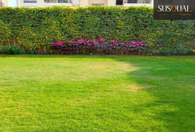 65154994 - Property Image 3