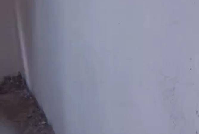 98009176 - صورة العقار 3