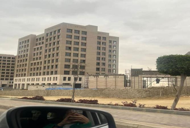 54237752 - Property Image 3