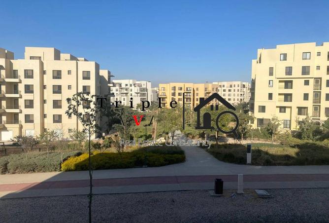 65149638 - صورة العقار 2