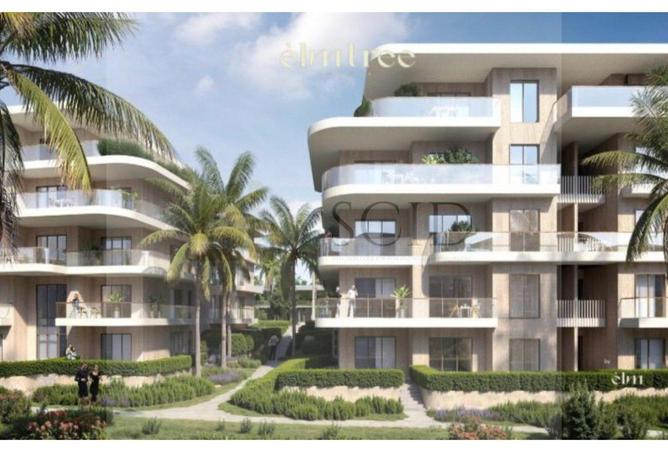 63635217 - صورة العقار 3