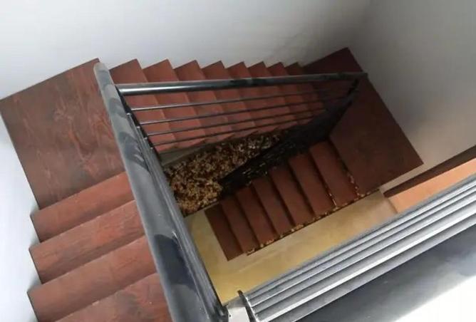 8715955 - Property Image 2