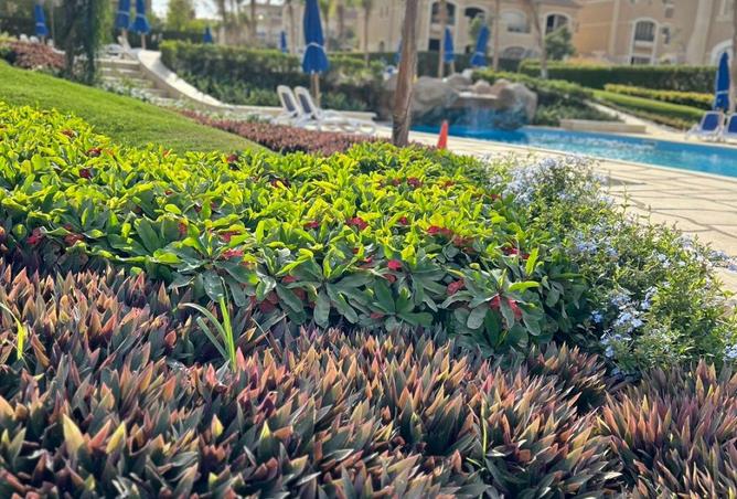 8615657 - الصورة الرئيسية للعقار