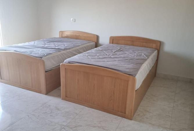 8703329 - Property Image 3