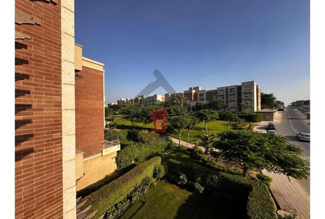 79998047 - صورة العقار 3