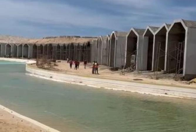 57755383 - صورة العقار 3