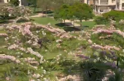 Apartment - 3 Bedrooms - 3 Bathrooms for rent in B1 - Madinaty - Cairo